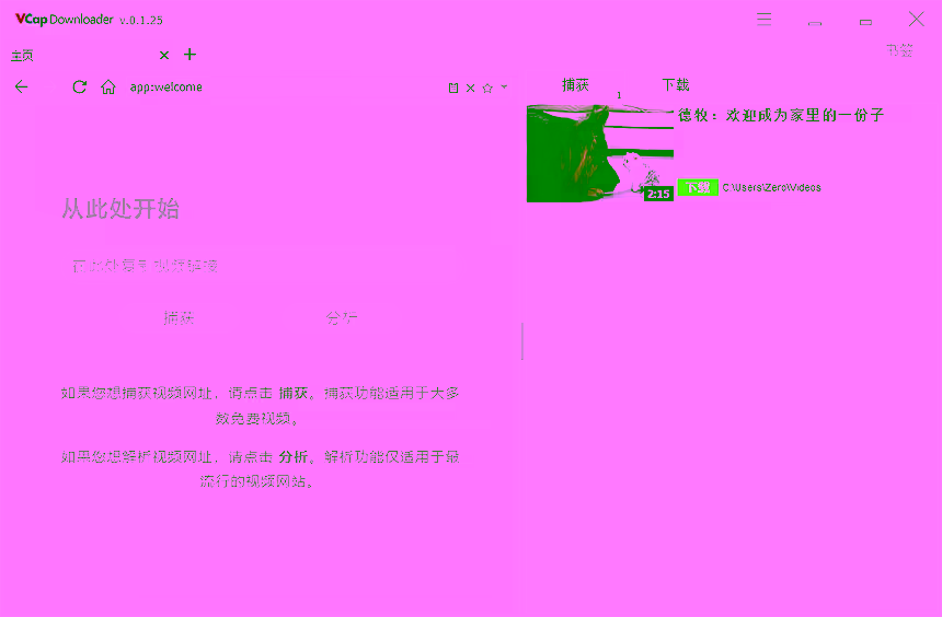 VCap-Downloader