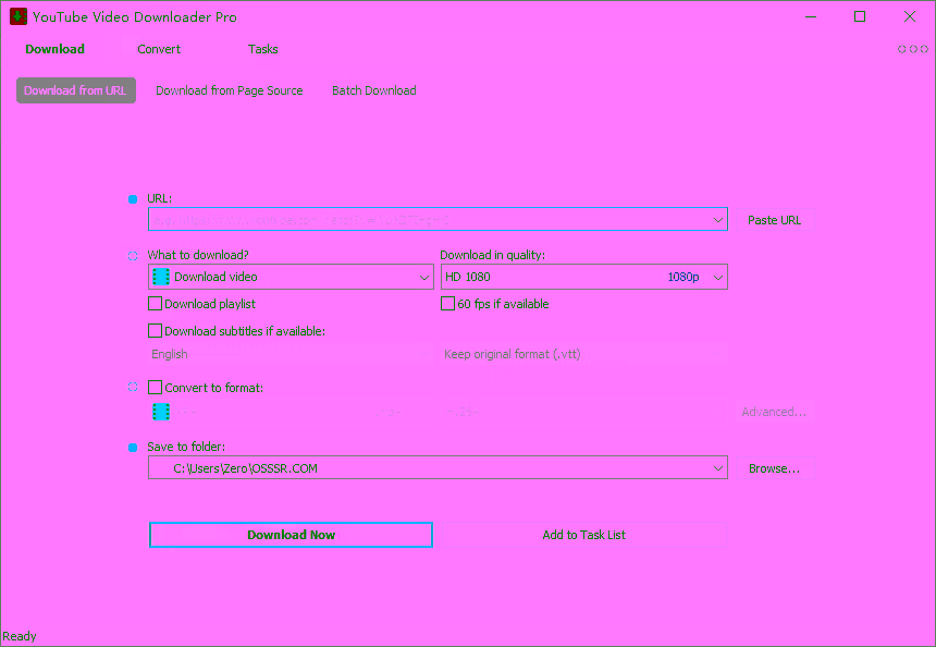 Robin-YouTube-Video-Downloader-Pro