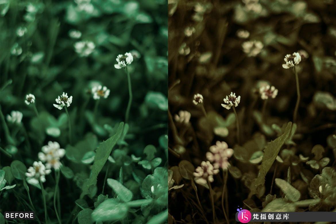 [人像LR预设]INS波西米亚人像LR预设 Bohemian Brown Look Instagram Wedding Presets