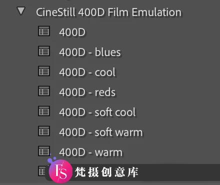 [胶片LR预设]电影400D彩色负片菲林胶卷LR预设 CineStill 400D Film Emulation Preset