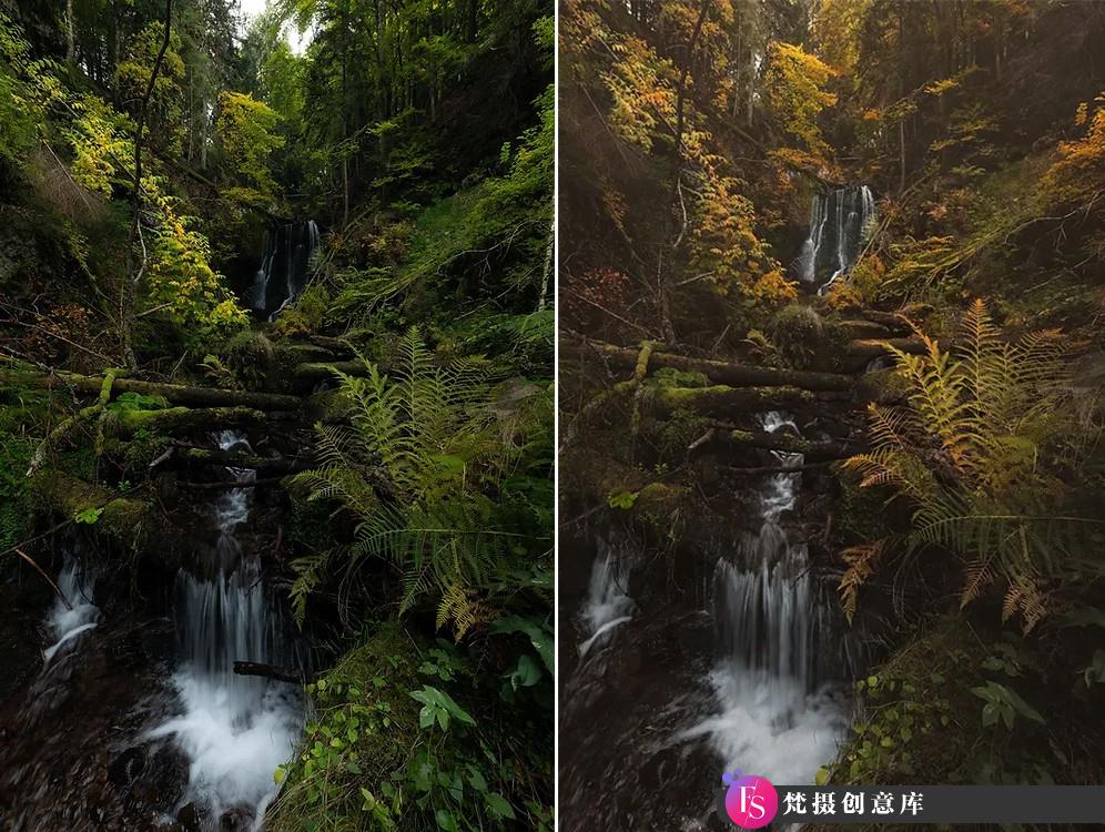 [风光摄影教程]摄影师 Enrico Fossati 《森林世界之旅》风光后期教程-中英字幕