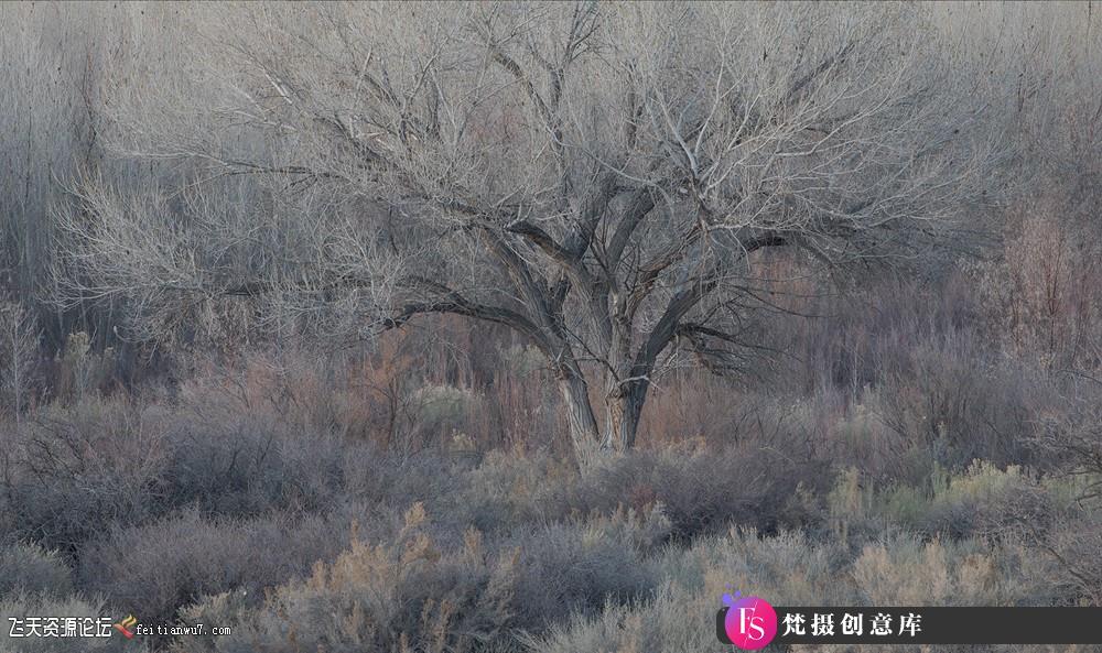 [风光摄影教程]风光摄影大师Alex noriega风光摄影后期教程4套合集-中文字幕