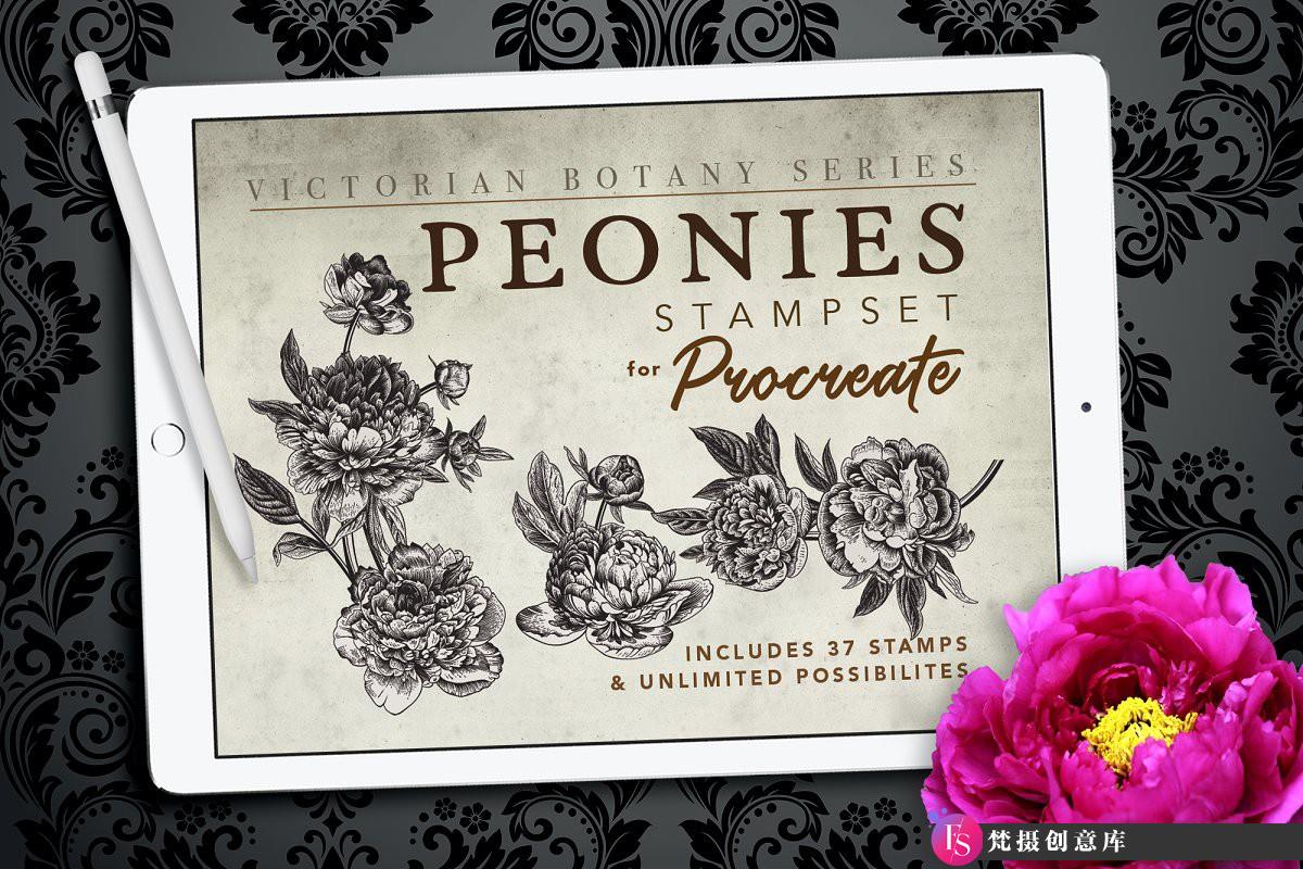 [Procreate笔刷]Procreate 复古牡丹花植物图案画笔 Procreate Peonies Stampset