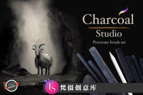 [Procreate笔刷]Procreate木炭绘画画笔 Charcoal Studio Procreate Brushes