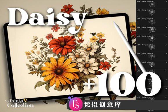 [Procreate笔刷]100个高品质Procreate雏菊系列插图画笔 100+ Procreate Daisy Stamps