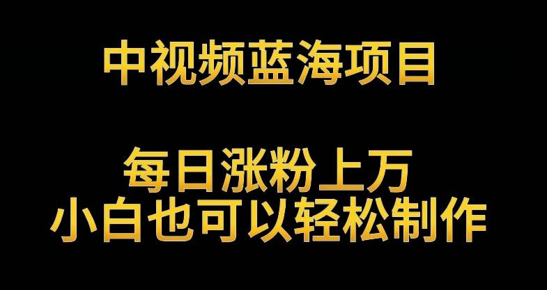 中视频蓝海项目，解读英雄人物生平，每日涨粉上万，小白也可以轻松制作，月入过万不是梦【揭秘】