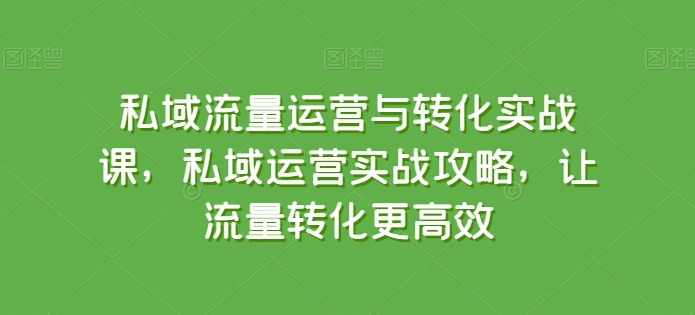 私域流量运营与转化实战课，私域运营实战攻略，让流量转化更高效