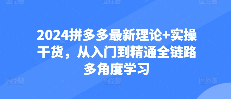 2024拼多多最新理论+实操干货，从入门到精通全链路多角度学习