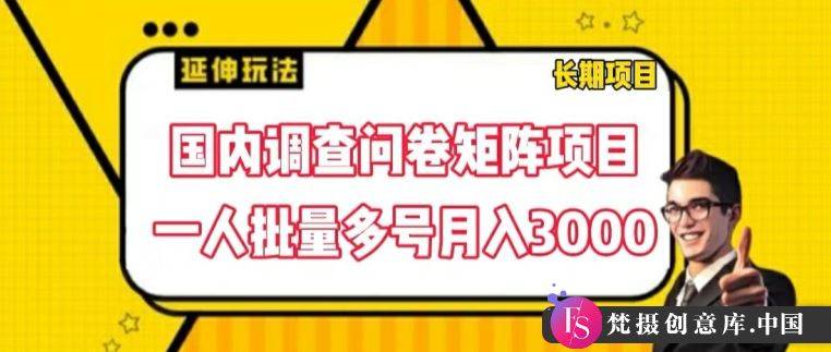 国内调查问卷矩阵项目，一人批量多号月入3000【揭秘】