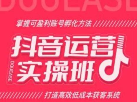 抖音运营实操班，掌握可盈利账号孵化方法，打造高效低成本获客系统