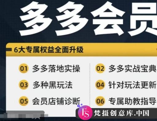 拼多多会员，拼多多实战宝典+实战落地实操，从新手到高阶内容全面覆盖