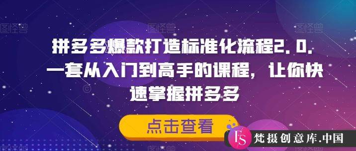 拼多多爆款打造标准化流程2.0，一套从入门到高手的课程，让你快速掌握拼多多