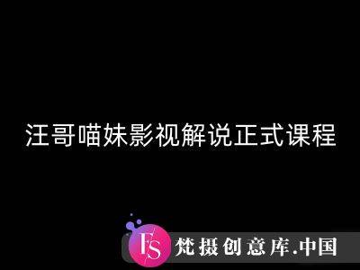 汪哥影视解说正式课程：剪映/PR教学/视解说剪辑5大黄金法则/全流程剪辑7把利器等等