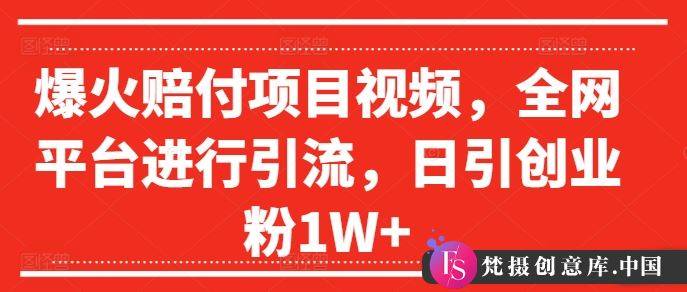 爆火赔付项目视频，全网平台进行引流，日引创业粉1W+【揭秘】