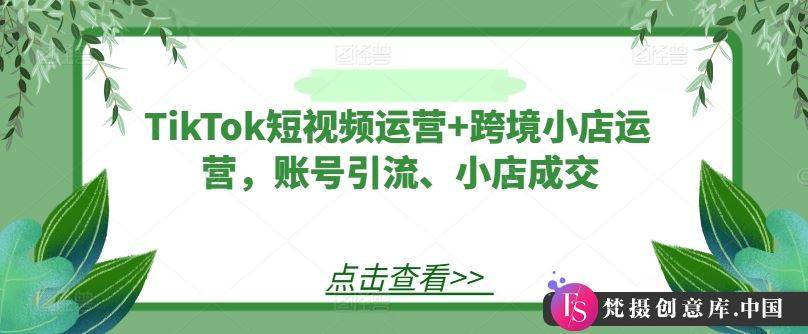 TikTok短视频运营+跨境小店运营，账号引流、小店成交