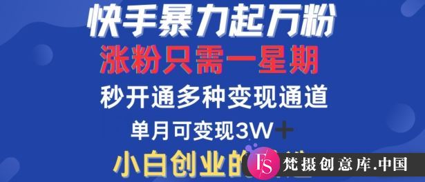 快手暴力起万粉，涨粉只需一星期，多种变现模式，直接秒开万合，单月变现过W【揭秘】