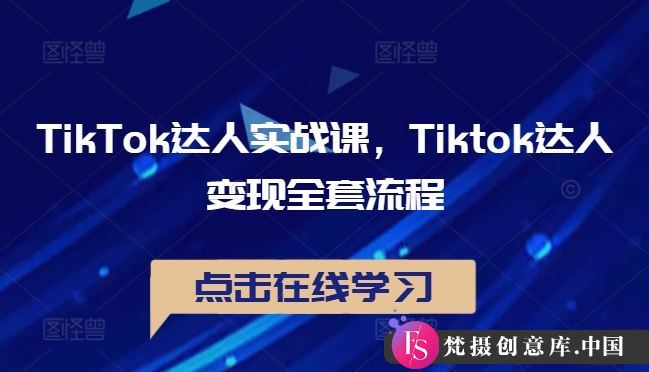 TikTok达人实战课，Tiktok达人变现全套流程