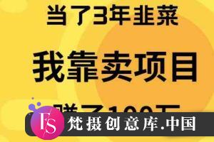 （9100期）当了3年韭菜，我靠卖项目赚了100万