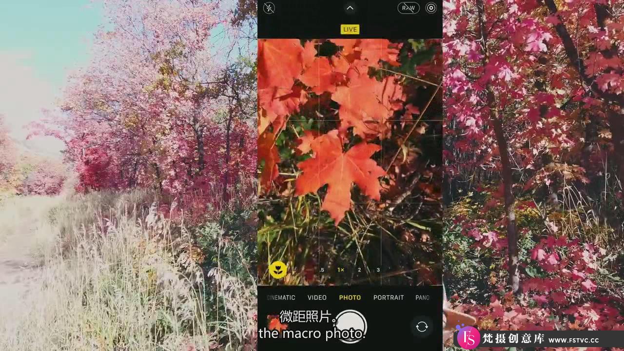 [手机摄影教程]iPhone 14 Pro人像,全景,微距,实况连拍和夜景摄影教程-中英字幕