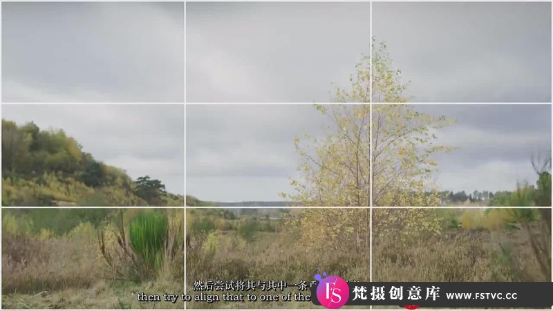 [视频拍摄教程]掌握视觉故事的电影视频中的黄金比例构图教程-中英字幕