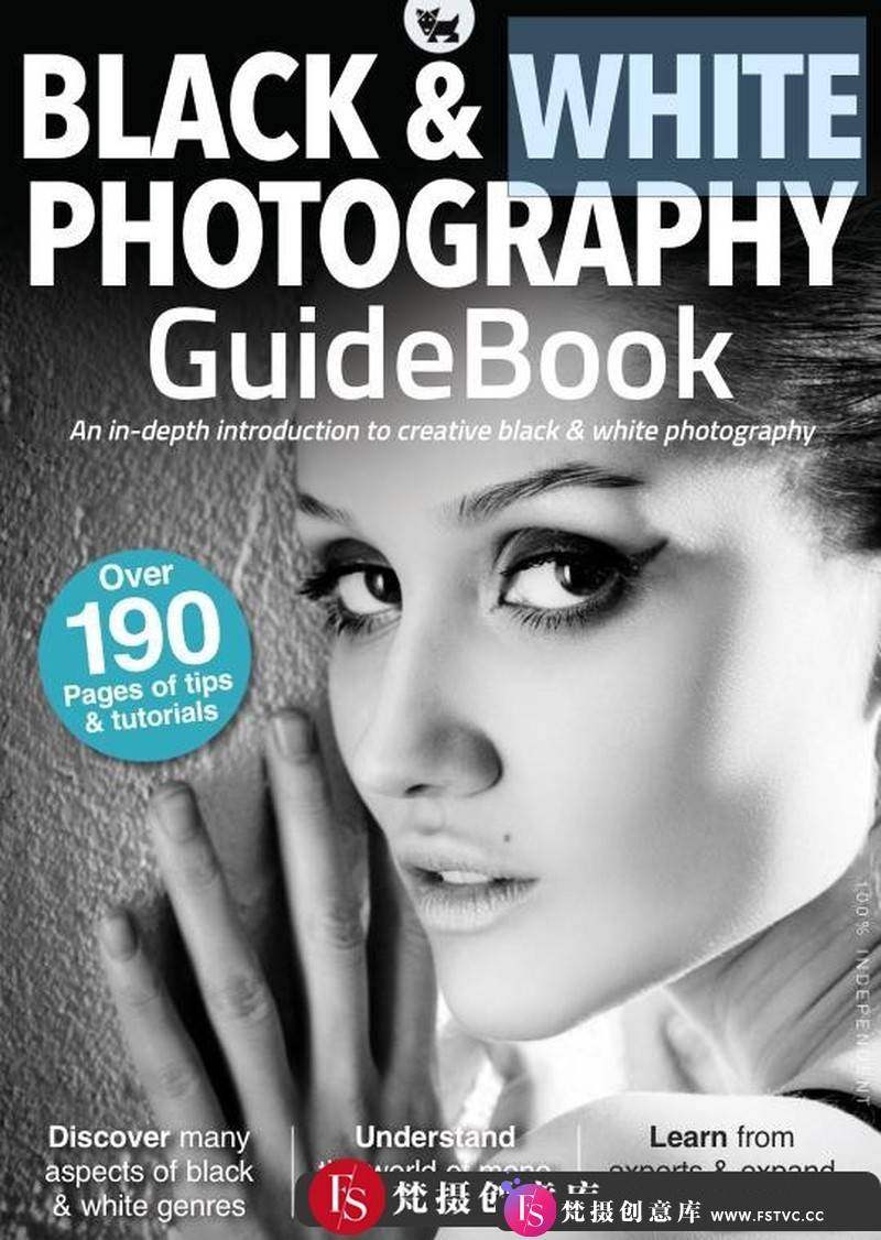 [电子书籍教程]黑白摄影教程指南–第4版，2021年电子书-梵摄创意库