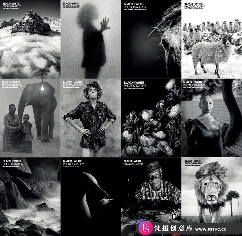 [电子书籍教程]黑白摄影[Black+WhitePhotography]2021合集12本PDF-梵摄创意库