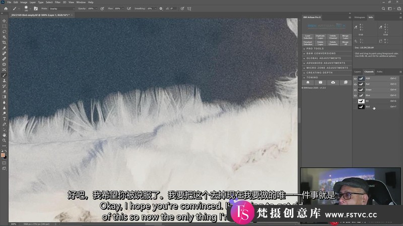 [风光摄影教程]BWVision-JoelTjintjelaar的高级蒙版介绍和高级蒙版工作流程-中英字幕