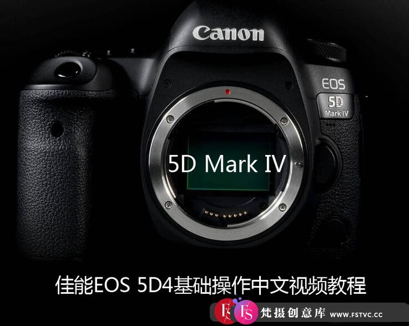 图片[1]-[摄影入门教程][教程发布]5DMarkIV佳能EOS5D4快速入门基础操作视频教程-中文教程-梵摄创意库