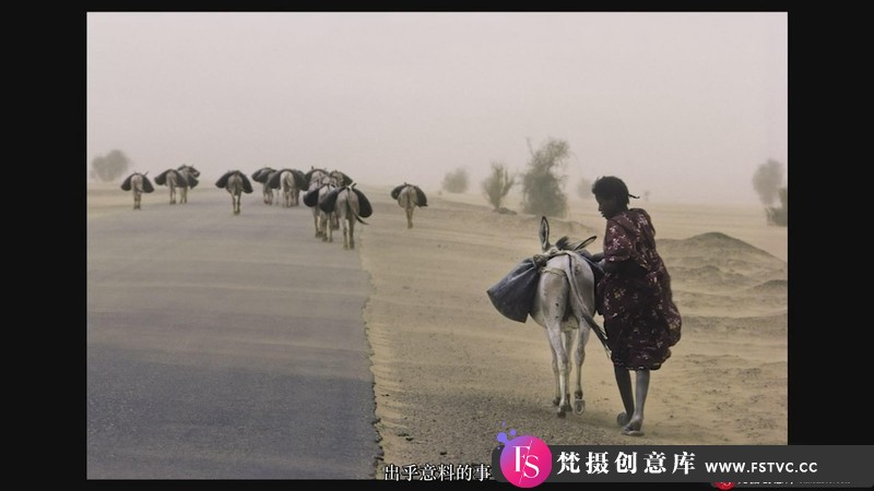 [人像摄影教程]摄影大师史蒂夫·麦卡里(SteveMcCurry)大师班摄影教程-中文字幕