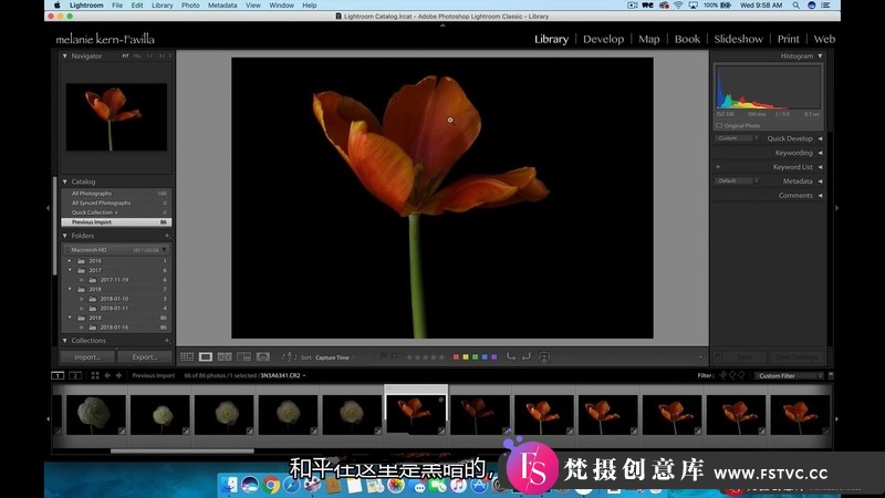 图片[7]-[风光摄影教程]KelbyOne-MelanieKern-Favilla花卉静物微距摄影教程-中文字幕-梵摄创意库