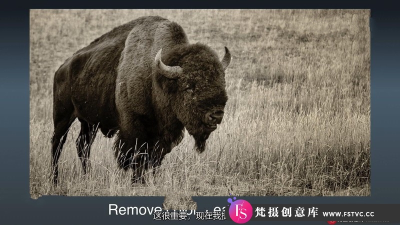 图片[4]-[风光摄影教程]KelbyOne-RickSammon黄石公园和大提顿公园风光摄影教程中文字幕-梵摄创意库