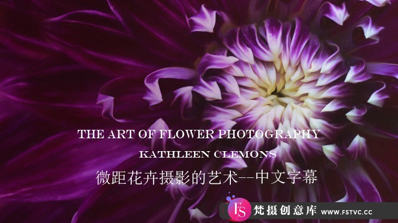 [风光摄影教程]KathleenClemons-TheArtofFlowerPhotography微距花卉摄影-中文字幕-梵摄创意库