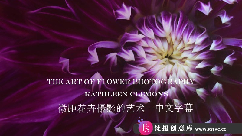 图片[1]-[风光摄影教程]KathleenClemons-TheArtofFlowerPhotography微距花卉摄影-中文字幕-梵摄创意库