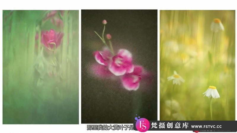 图片[6]-[风光摄影教程]KathleenClemons-TheArtofFlowerPhotography微距花卉摄影-中文字幕-梵摄创意库