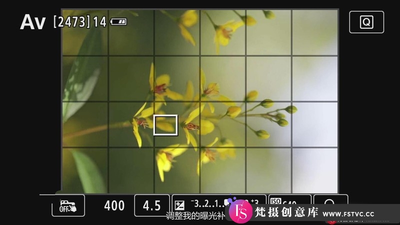 图片[11]-[风光摄影教程]KelbyOne-花卉摄影师JackieKramer艺术微距花卉摄影技巧-中文字幕-梵摄创意库