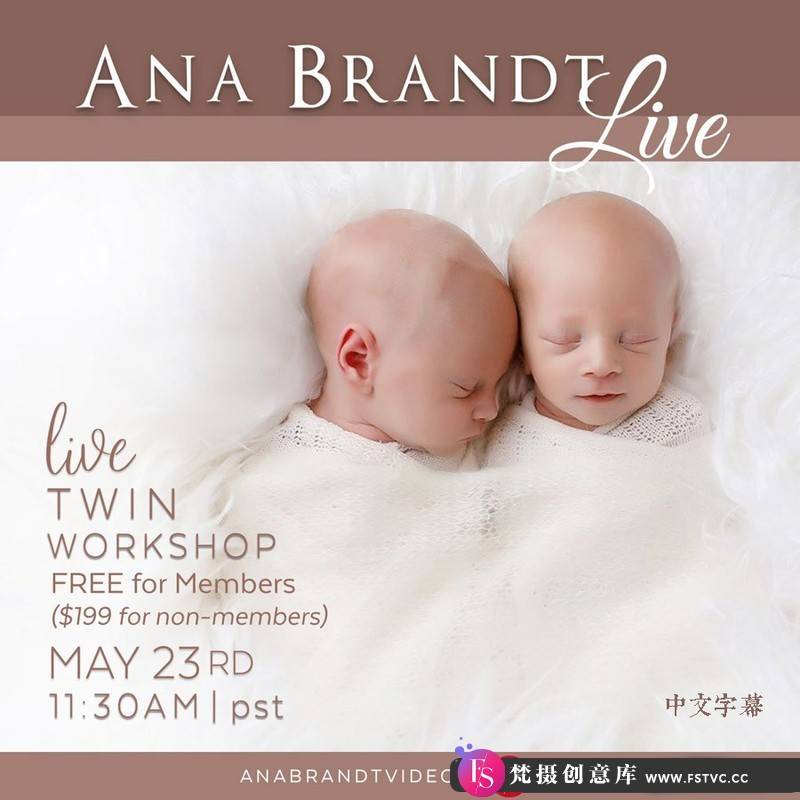 [新生儿童摄影]摄影师AnaBrandt双胞胎新生儿包裹裹布造型布光教程-中文字幕-梵摄创意库