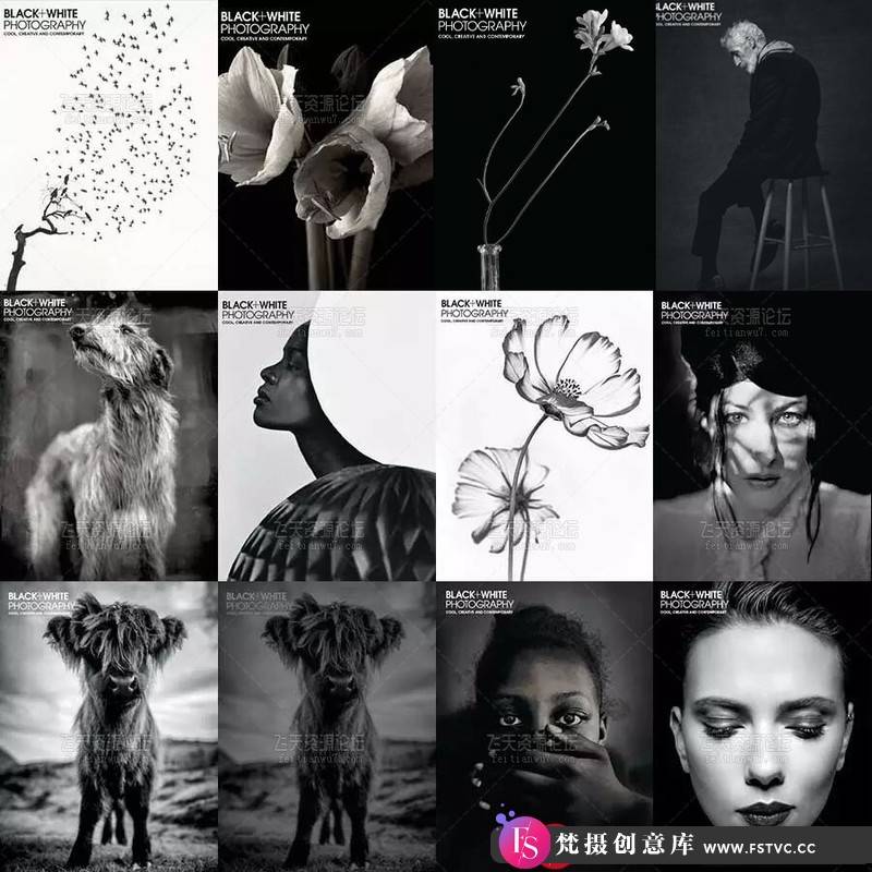 [电子书籍教程]BlackWhitePhotography美国黑白摄影杂志2009-2020年合集收藏版(全110本)-梵摄创意库