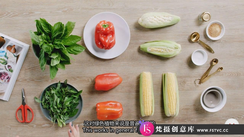 [美食摄影教程]Espacio Crudo 高端品牌美食食品造型摄影布光教程-中英字幕