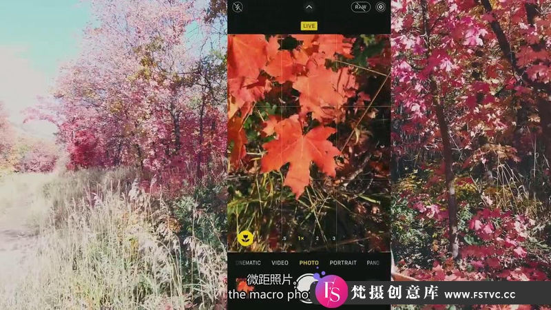 [手机摄影教程]iPhone 14 Pro人像,全景,微距,实况连拍和夜景摄影教程-中英字幕