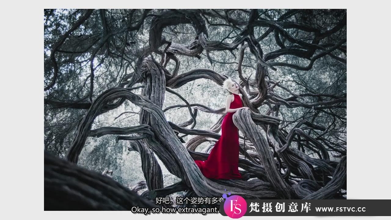 图片[2]-[人像摄影教程]摄影师 Lindsay Adler 摆姿势系列-女性摆姿势完整指南-中英字幕-梵摄创意库