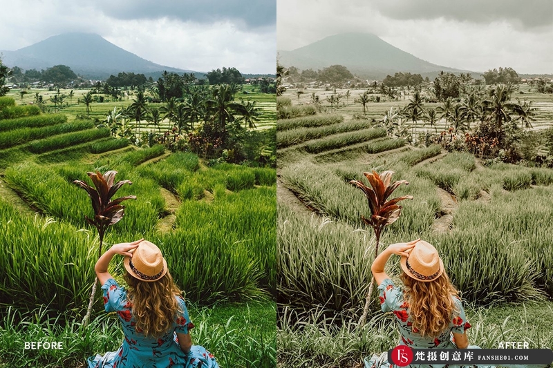 人像LR预设风莫兰迪巴黎旅拍胶片预设lr预设ps滤镜pr调色lightroom人像lut插件