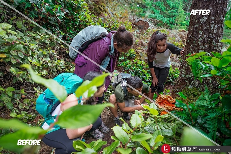 图片[12]-人像LR预设绿色森林森系梦幻色彩人像调色预设lr预设ps滤镜pr调色lightroom人像lut插件-梵摄创意库