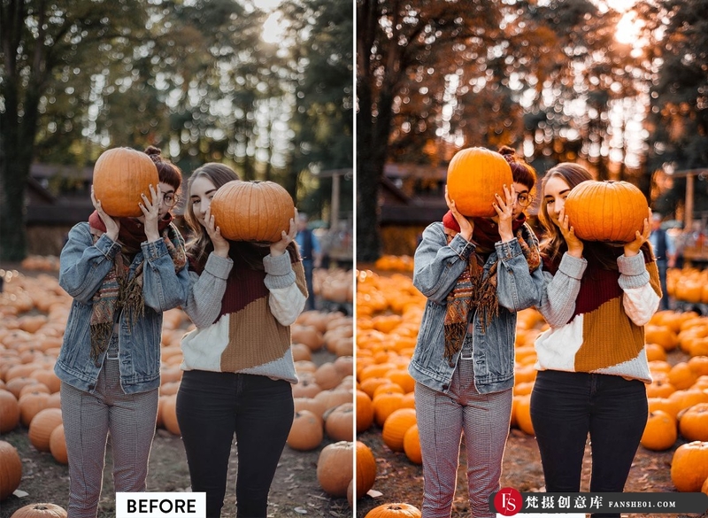 人像LR预设秋季南瓜节通透暖色调预设lr预设ps滤镜pr调色lightroom人像lut插件