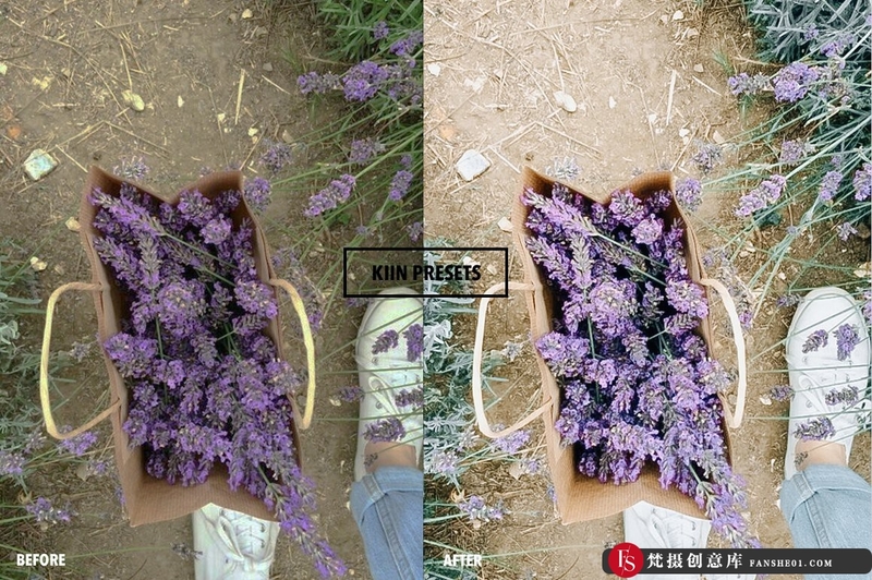 人像LR预设时尚薄荷绿薰衣草丁香色调预设lr预设ps滤镜pr调色lightroom人像lut插件