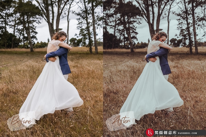 图片[2]-[ACR预设]8个婚礼胶片情绪人像后期ACR预设及婚礼视频剪辑调色LUT预设-梵摄创意库