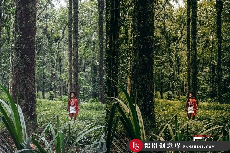 图片[5]-[风光LR预设]ARTAPresets-徒步旅拍风光LR预设ForestGreenPresetsforLightroom-梵摄创意库