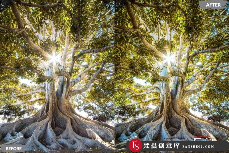 图片[4]-[风光LR预设]电影风光后期调色LR预设MatteCinematicLightroomDekstopMobilePresets-梵摄创意库