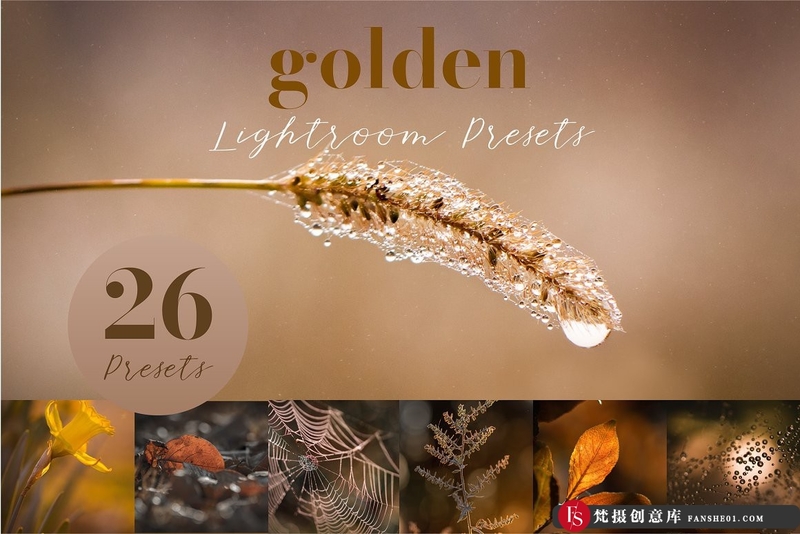 图片[1]-[风光LR预设]26个秋季微距风光金色调Lightroom预设 Golden Lightroom Presets-梵摄创意库