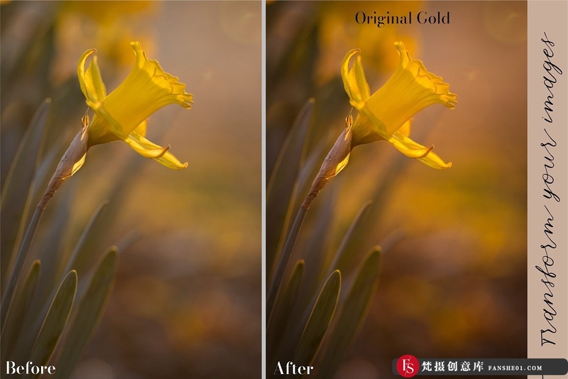 图片[2]-[风光LR预设]26个秋季微距风光金色调Lightroom预设 Golden Lightroom Presets-梵摄创意库