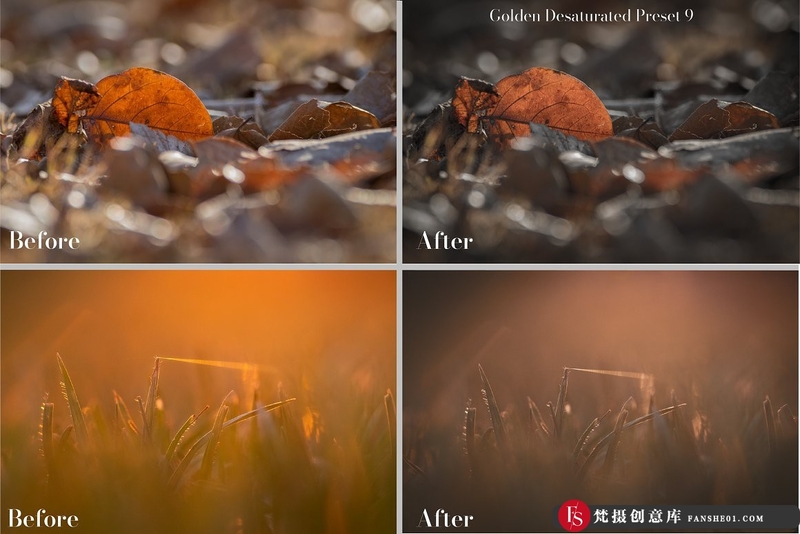 图片[5]-[风光LR预设]26个秋季微距风光金色调Lightroom预设 Golden Lightroom Presets-梵摄创意库